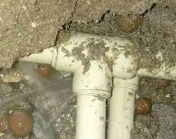 泉山测漏水多少钱