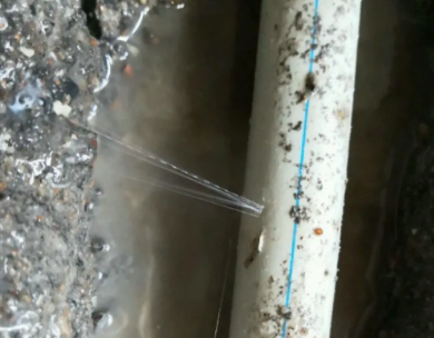 泉山测漏水哪家好