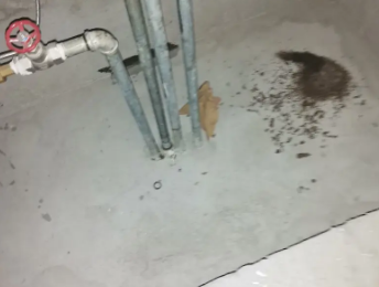 泉山卫生间测漏水价格明细